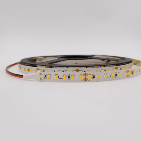 SMD 5050 60LEDs Low Voltage DC 12V 24V High Voltage AC 110V 220V IP68 Waterproof Flexible LED Strip