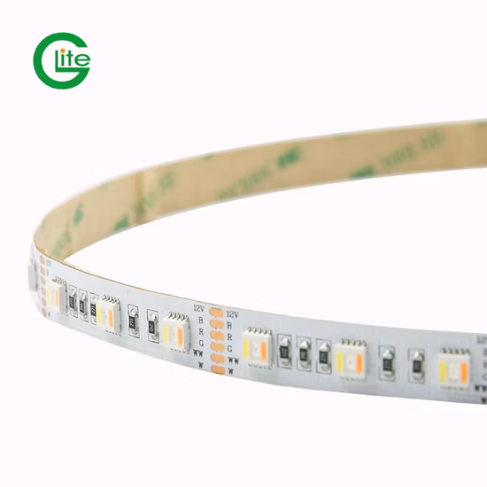 3years Warranty LED Light Strip SMD5050 Rgbww 60LED DC24 for Lighting Decoration