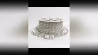 AC110V AC220V AC230V RGB Color Changing 50m Roll Multicolor Outdoor IP65 Waterproof Dual Colorful Remote Control DMX Flexible LED Strip Light